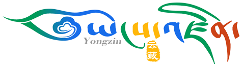 https://www.yongzin.com/